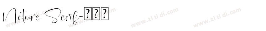 Nature Serif字体转换